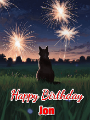 Happy Birthday Jon GIF: An animated gif at night showing the backside of a sitting cat who watches sparkle and fireworks over a meadow. Customize name and happy birthday.