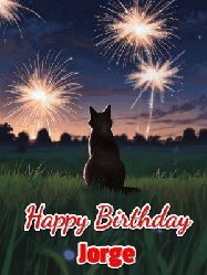 Happy Birthday Jorge GIF: An animated gif at night showing the backside of a sitting cat who watches sparkle and fireworks over a meadow. Customize name and happy birthday.