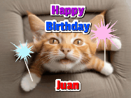 Happy Birthday Juan GIF