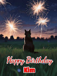 Happy Birthday Kim GIF: An animated gif at night showing the backside of a sitting cat who watches sparkle and fireworks over a meadow. Customize name and happy birthday.