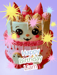 Happy Birthday Liam GIF
