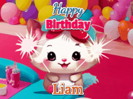 Happy Birthday Liam GIF