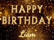 Happy Birthday Liam GIF: Celebrate with this animated happy birthday gif with glitter, sparklers, and a name to customize.