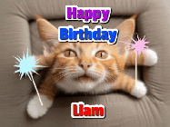 Happy Birthday Liam GIF
