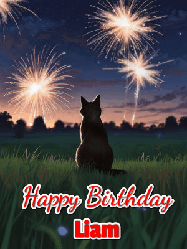 Happy Birthday Liam GIF: An animated gif at night showing the backside of a sitting cat who watches sparkle and fireworks over a meadow. Customize name and happy birthday.
