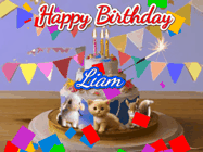 Happy Birthday Liam GIF: Happy Birthday Cake GIF with a cat, lamb, and squirrel on the cake with flickering candles, a sparkler, and falling confetti. Reads Happy Birthday Name and you can customize the name