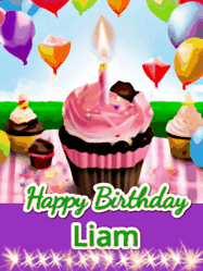 Happy Birthday Liam GIF