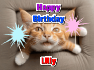 Happy Birthday Lilly GIF