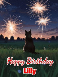 Happy Birthday Lilly GIF: An animated gif at night showing the backside of a sitting cat who watches sparkle and fireworks over a meadow. Customize name and happy birthday.