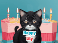 Happy Birthday Lily GIF