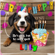 Happy Birthday Lily GIF