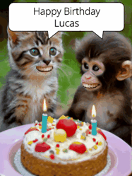 Happy Birthday Lucas GIF: GIF with monkey and cake with birthday cake, flickering candles, they talk, a camera flash, big goofy smiles.
