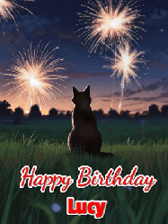 Happy Birthday Lucy GIF: An animated gif at night showing the backside of a sitting cat who watches sparkle and fireworks over a meadow. Customize name and happy birthday.