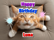 Happy Birthday Luna GIF