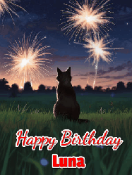 Happy Birthday Luna GIF: An animated gif at night showing the backside of a sitting cat who watches sparkle and fireworks over a meadow. Customize name and happy birthday.