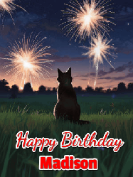 Happy Birthday Madison GIF: An animated gif at night showing the backside of a sitting cat who watches sparkle and fireworks over a meadow. Customize name and happy birthday.