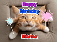 Happy Birthday Marina GIF