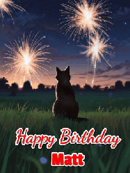 Happy Birthday Matt GIF: An animated gif at night showing the backside of a sitting cat who watches sparkle and fireworks over a meadow. Customize name and happy birthday.