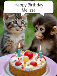 Happy Birthday Melissa GIF: GIF with monkey and cake with birthday cake, flickering candles, they talk, a camera flash, big goofy smiles.