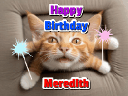 Happy Birthday Meredith GIF