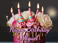 Happy Birthday Miguel GIF