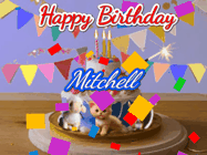 Happy Birthday Mitchell GIFs