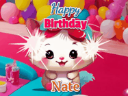 Happy Birthday Nate GIF