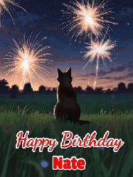 Happy Birthday Nate GIF: An animated gif at night showing the backside of a sitting cat who watches sparkle and fireworks over a meadow. Customize name and happy birthday.