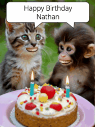 Happy Birthday Nathan GIF: GIF with monkey and cake with birthday cake, flickering candles, they talk, a camera flash, big goofy smiles.