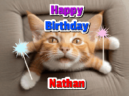 Happy Birthday Nathan GIF