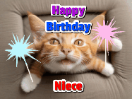 Happy Birthday Niece GIF