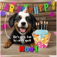 Happy Birthday Noel GIF