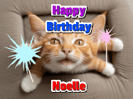 Happy Birthday Noelle GIF