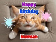 Happy Birthday Norman GIF