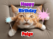 Happy Birthday Paige GIF