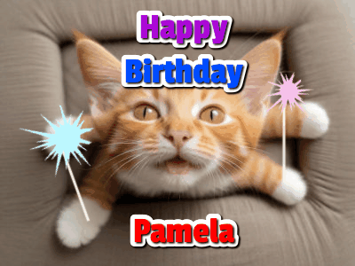 Happy Birthday Pamela GIF 35