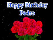 Happy Birthday Pedro GIF