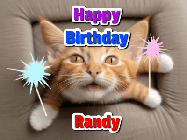 Happy Birthday Randy GIF