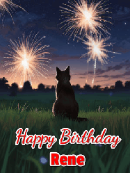 Happy Birthday Rene GIF: An animated gif at night showing the backside of a sitting cat who watches sparkle and fireworks over a meadow. Customize name and happy birthday.
