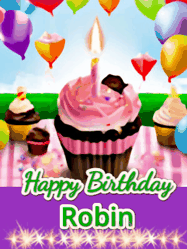 Happy Birthday Robin GIF