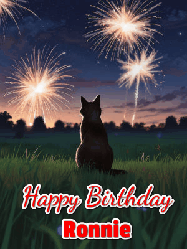 Happy Birthday Ronnie GIF: An animated gif at night showing the backside of a sitting cat who watches sparkle and fireworks over a meadow. Customize name and happy birthday.