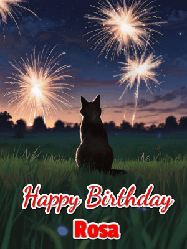Happy Birthday Rosa GIF: An animated gif at night showing the backside of a sitting cat who watches sparkle and fireworks over a meadow. Customize name and happy birthday.