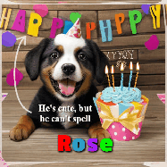 Happy Birthday Rose GIF