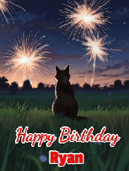 Happy Birthday Ryan GIF: An animated gif at night showing the backside of a sitting cat who watches sparkle and fireworks over a meadow. Customize name and happy birthday.