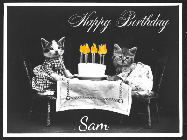 Happy Birthday Sam GIF