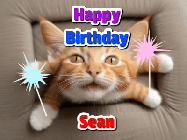 Happy Birthday Sean GIF