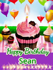 Happy Birthday Sean GIF
