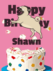 Happy Birthday Shawn GIF