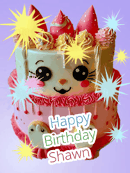 Happy Birthday Shawn GIF