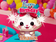 Happy Birthday Shawn GIF